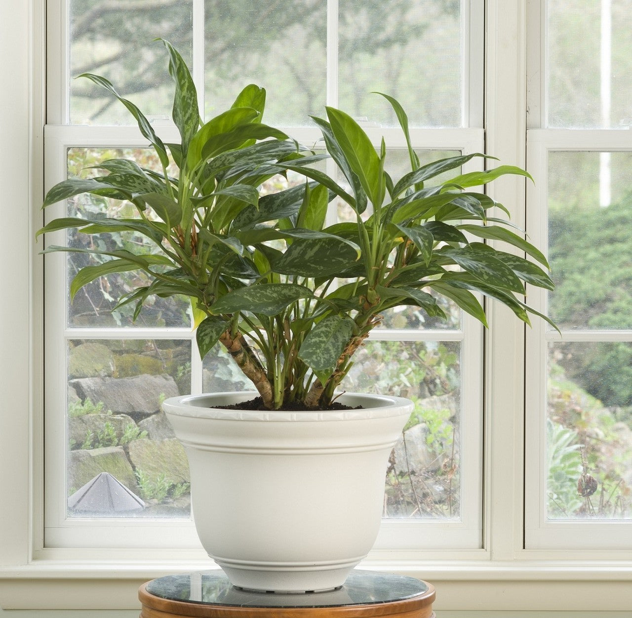 Perfect Planter Pot – Dunn Rite