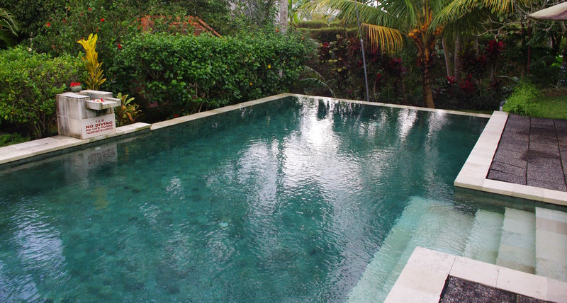 Tips on Keeping Saltwater Pools Clean – Dunn Rite