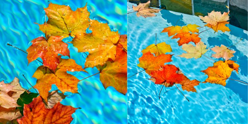 Decorate Your Pool for the Fall Season – Dunn Rite