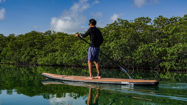 natural wood inflatable paddleboard - full standing