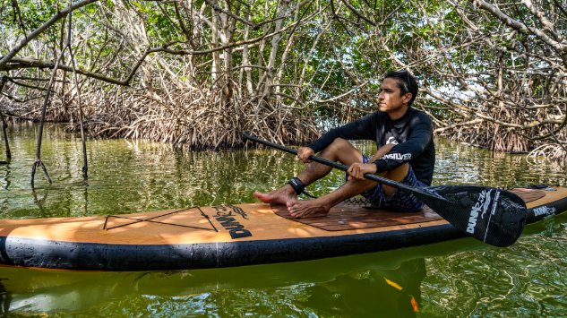 natural wood inflatable paddleboard - sitting in trees